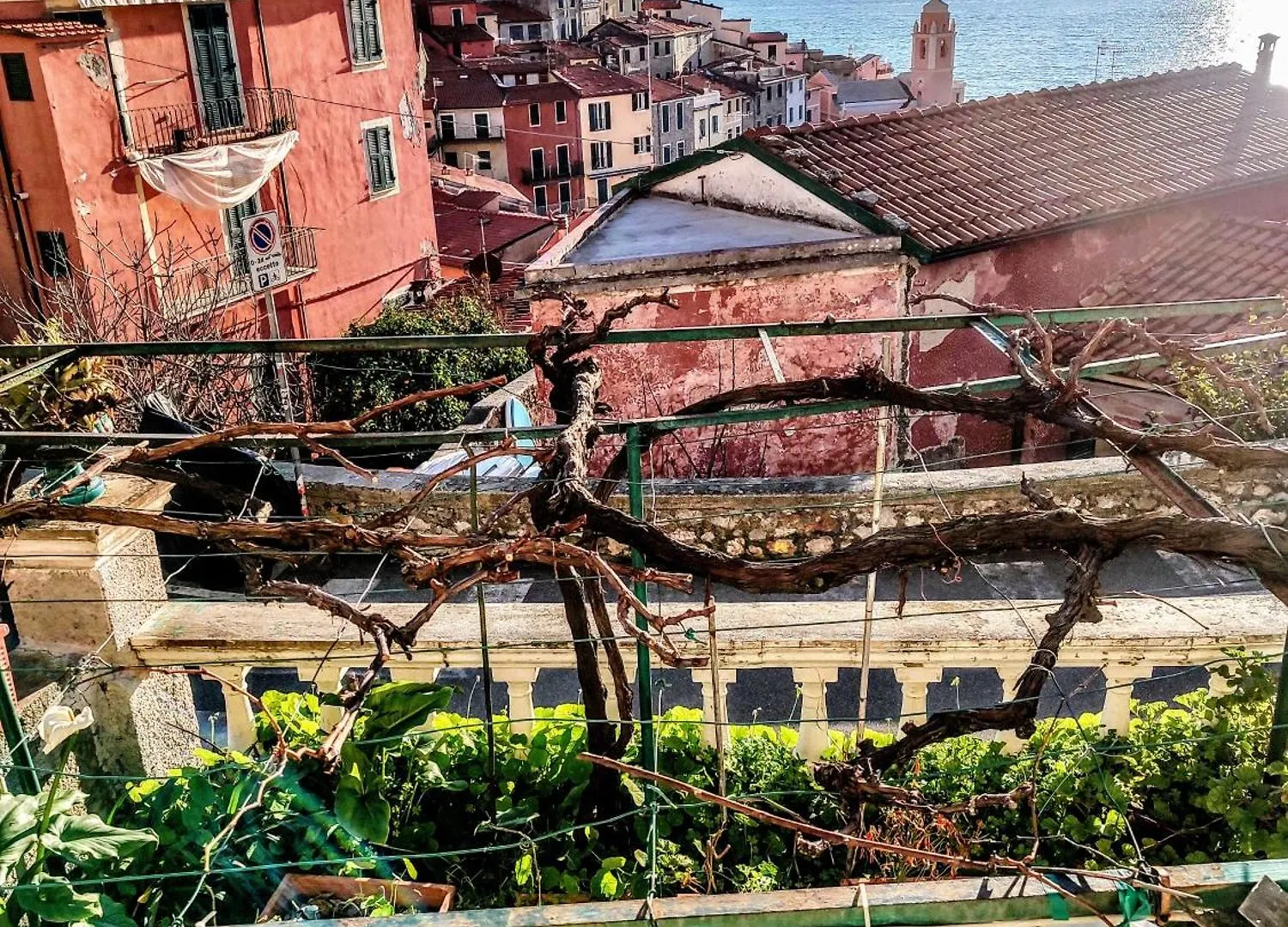 -La Terrazza Nel Vigneto- Golfo Dei Poeti Lejlighed Tellaro 0*,